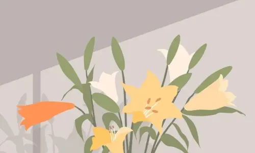 【1004】创意创意壁纸  4K 超清壁纸1080_2337@青蛙壁纸-笨猫小站