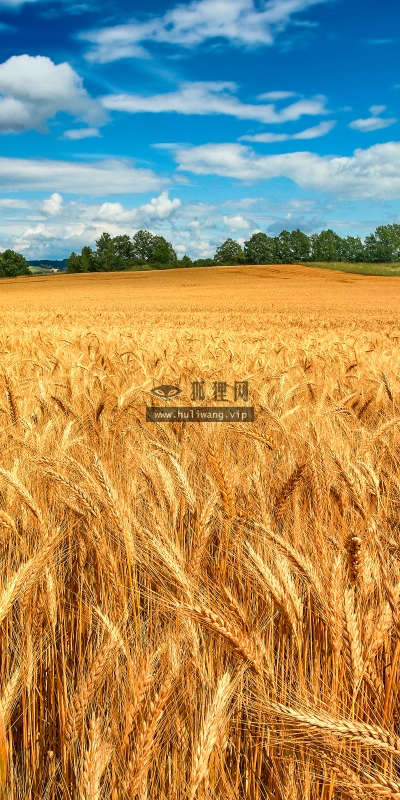 【1060】风景壁纸  4K 超清壁纸3840_2400@青蛙壁纸-笨猫小站