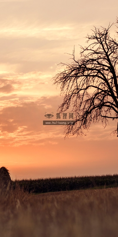 【1109】风景壁纸  4K 超清壁纸3840_2400@青蛙壁纸-笨猫小站
