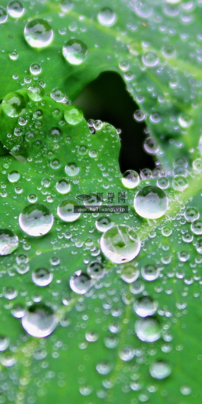 【1197】风景壁纸  4K 超清壁纸3840_2400@青蛙壁纸-笨猫小站