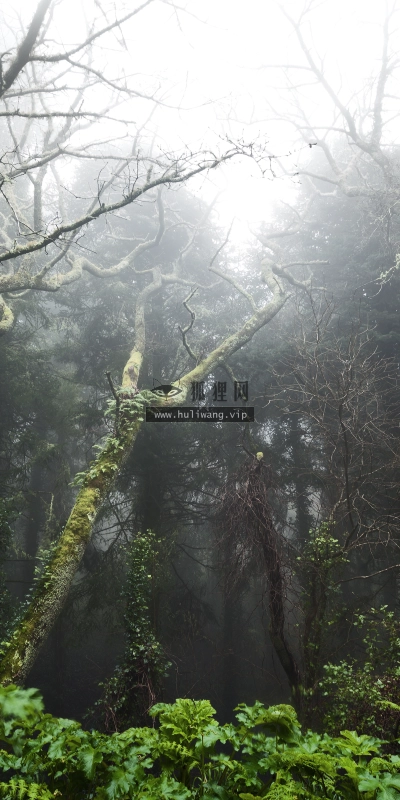 【1207】风景壁纸  4K 超清壁纸3840_2400@青蛙壁纸-笨猫小站