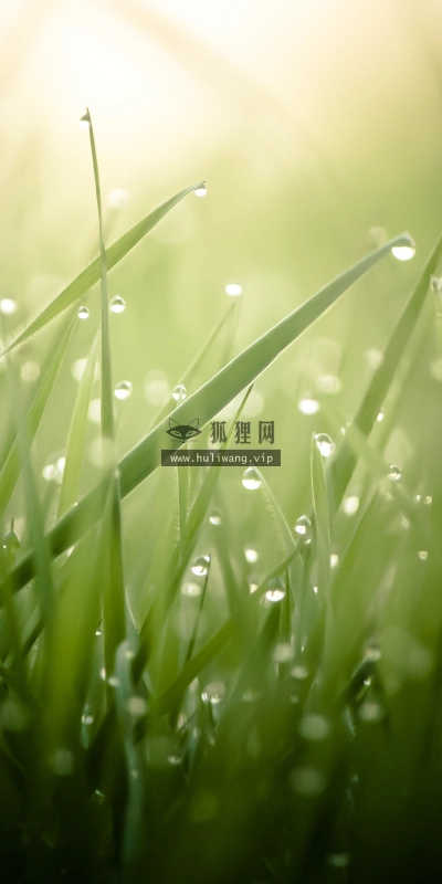 【1266】风景壁纸  4K 超清壁纸3840_2400@青蛙壁纸-笨猫小站