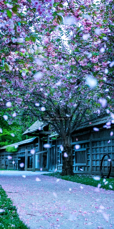 【1310】风景壁纸  4K 超清壁纸3840_2400@青蛙壁纸-笨猫小站