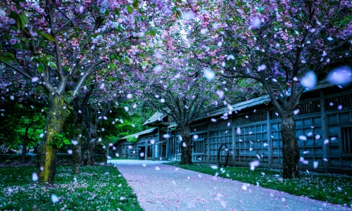 【1310】风景壁纸  4K 超清壁纸3840_2400@青蛙壁纸-笨猫小站