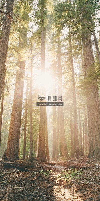 【1325】风景壁纸  4K 超清壁纸3840_2400@青蛙壁纸-笨猫小站