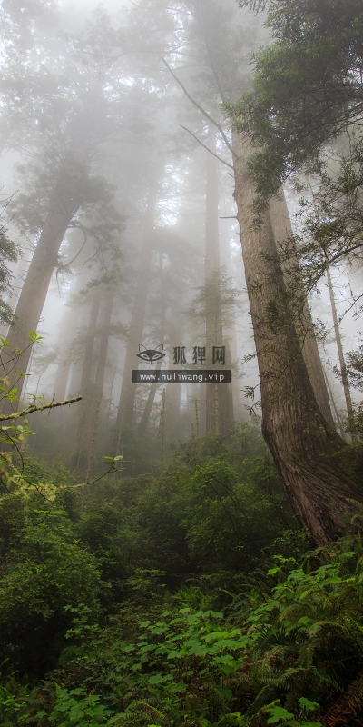【1368】风景壁纸  4K 超清壁纸3840_2400@青蛙壁纸-笨猫小站
