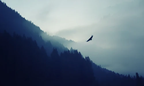 【1374】风景壁纸  4K 超清壁纸3840_2400@青蛙壁纸-笨猫小站