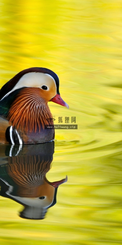 【1378】风景壁纸  4K 超清壁纸3840_2400@青蛙壁纸-笨猫小站