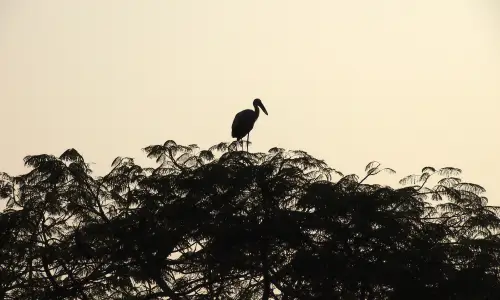 【1589】风景壁纸  4K 超清壁纸3840_2400@青蛙壁纸-笨猫小站