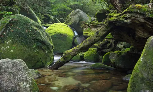 【1643】风景壁纸  4K 超清壁纸3840_2400@青蛙壁纸-笨猫小站