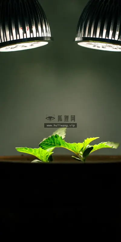 【1656】风景壁纸  4K 超清壁纸3840_2400@青蛙壁纸-笨猫小站