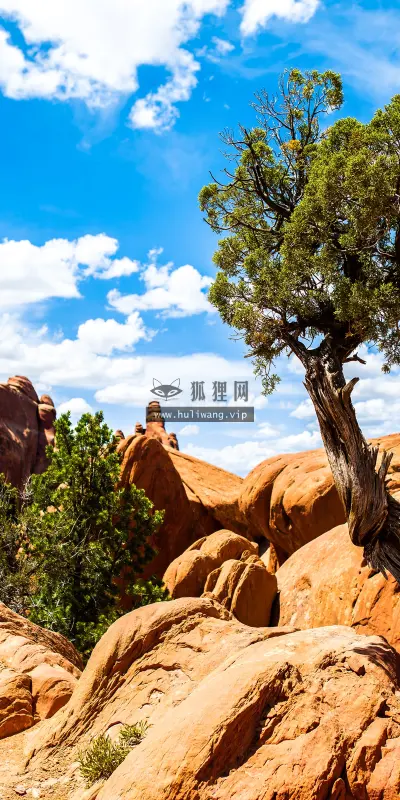 【1658】风景壁纸  4K 超清壁纸3840_2400@青蛙壁纸-笨猫小站