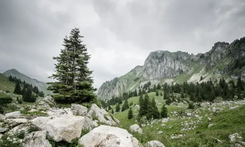 【1672】风景壁纸  4K 超清壁纸3840_2400@青蛙壁纸-笨猫小站