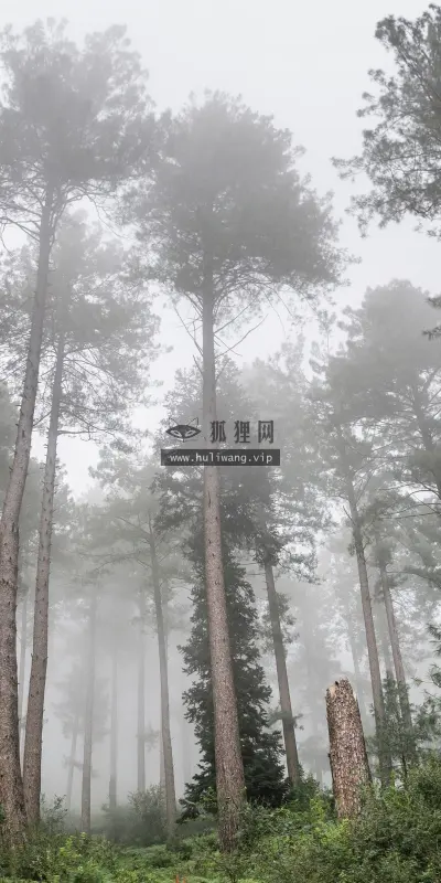 【1681】风景壁纸  4K 超清壁纸3840_2400@青蛙壁纸-笨猫小站