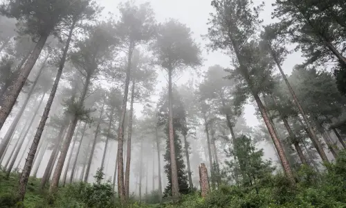【1681】风景壁纸  4K 超清壁纸3840_2400@青蛙壁纸-笨猫小站