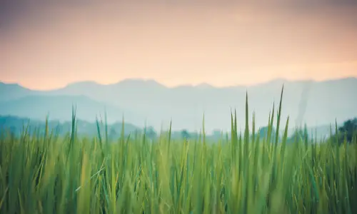 【1899】风景壁纸  4K 超清壁纸3840_2400@青蛙壁纸-笨猫小站