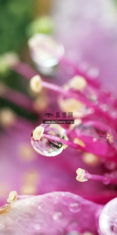 【1906】风景壁纸  4K 超清壁纸3840_2400@青蛙壁纸-笨猫小站
