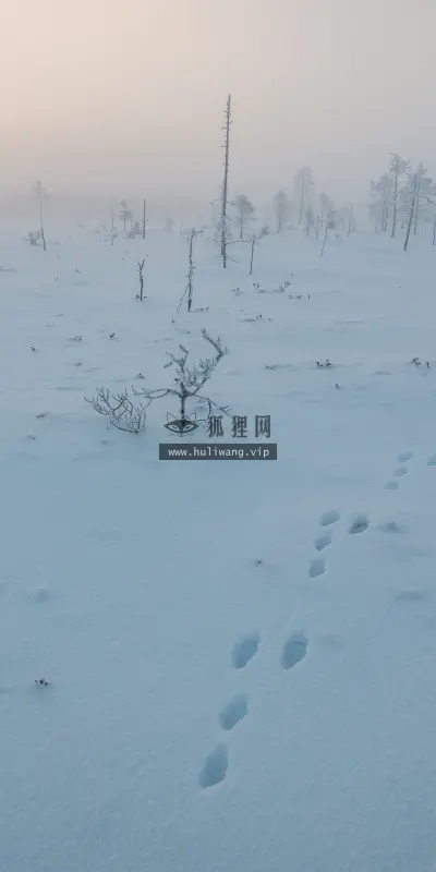 【1907】风景壁纸  4K 超清壁纸3840_2400@青蛙壁纸-笨猫小站
