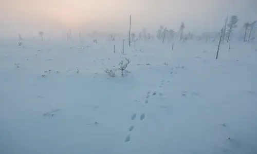 【1907】风景壁纸  4K 超清壁纸3840_2400@青蛙壁纸-笨猫小站