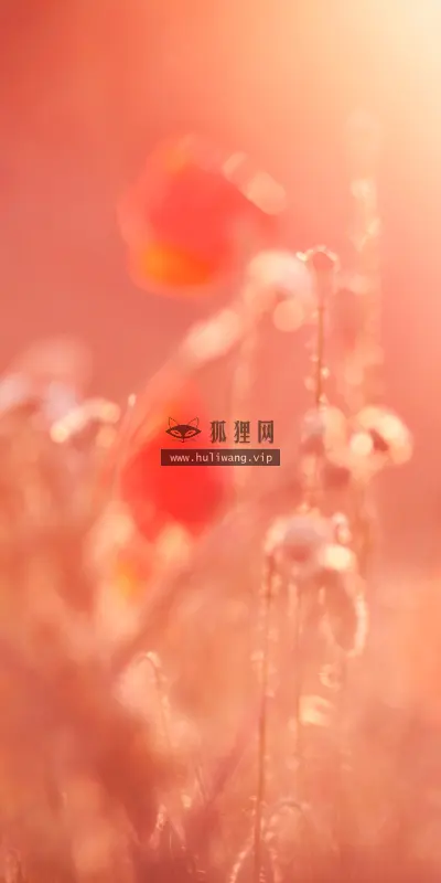 【1910】风景壁纸  4K 超清壁纸3840_2400@青蛙壁纸-笨猫小站