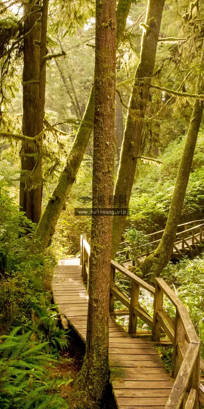 【1935】风景壁纸  4K 超清壁纸3840_2400@青蛙壁纸-笨猫小站