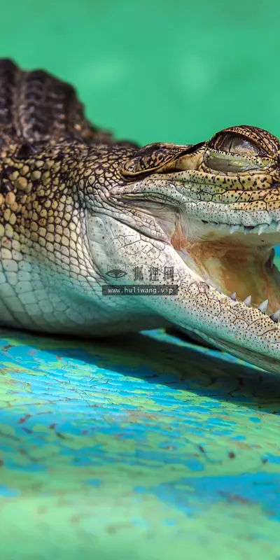 【1985】风景壁纸  4K 超清壁纸3840_2400@青蛙壁纸-笨猫小站