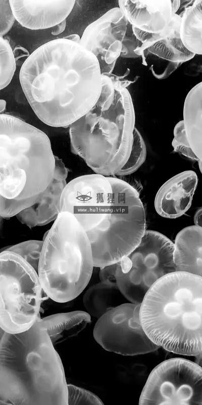 【1988】风景壁纸  4K 超清壁纸3840_2400@青蛙壁纸-笨猫小站
