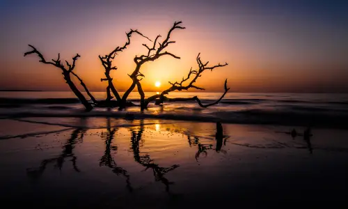 【2000】风景壁纸  4K 超清壁纸3840_2400@青蛙壁纸-笨猫小站