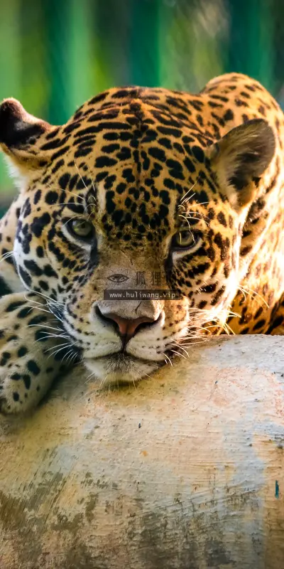 【2022】风景壁纸  4K 超清壁纸3840_2400@青蛙壁纸-笨猫小站