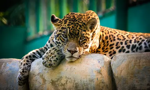 【2022】风景壁纸  4K 超清壁纸3840_2400@青蛙壁纸-笨猫小站
