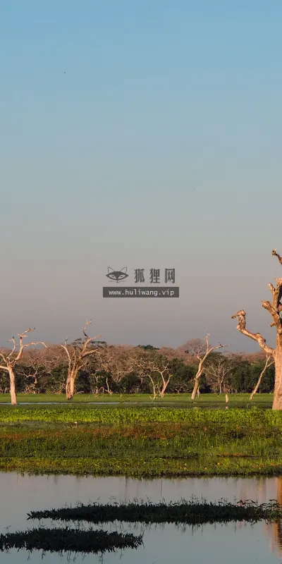 【2047】风景壁纸  4K 超清壁纸3840_2560@青蛙壁纸-笨猫小站