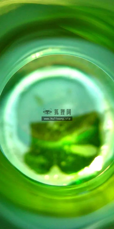 【2336】创意壁纸 2K 高清壁纸2560_1600@青蛙壁纸-笨猫小站
