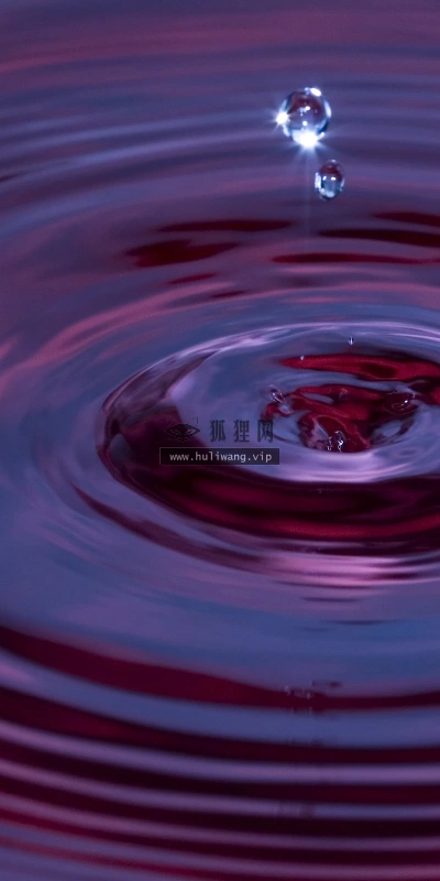 【2359】创意壁纸  2K 高清壁纸2560_1600@青蛙壁纸-笨猫小站