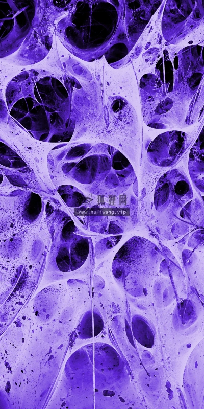 【2380】创意壁纸  2K 高清壁纸2560_1600@青蛙壁纸-笨猫小站