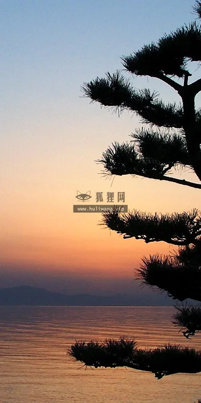 【2543】植物壁纸  2K 高清壁纸2560_1600@青蛙壁纸-笨猫小站