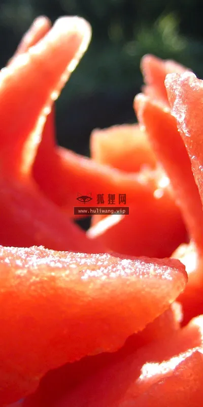 【2806】唯美壁纸  2K 高清壁纸2560_1600@青蛙壁纸-笨猫小站