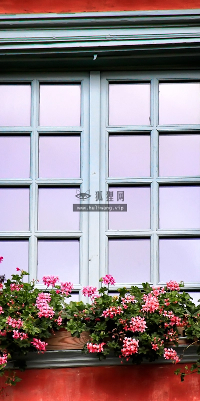 【2913】唯美壁纸  2K 高清壁纸2560_1600@青蛙壁纸-笨猫小站