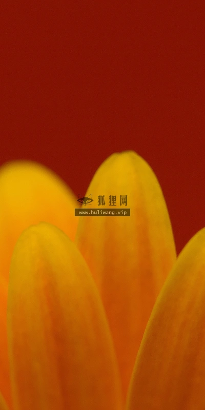 【2922】唯美壁纸  2K 高清壁纸2560_1600@青蛙壁纸-笨猫小站
