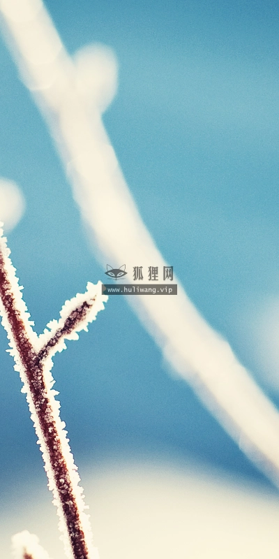 【2949】唯美壁纸  2K 高清壁纸2560_1600@青蛙壁纸-笨猫小站