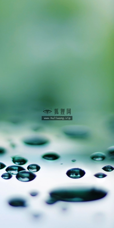 【2962】唯美壁纸  2K 高清壁纸2560_1600@青蛙壁纸-笨猫小站