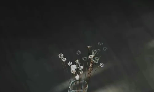 【3300】简约壁纸  4K 超清壁纸1080_2340@青蛙壁纸-笨猫小站