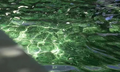 【3323】简约壁纸  2K 高清壁纸888_1920@青蛙壁纸-笨猫小站