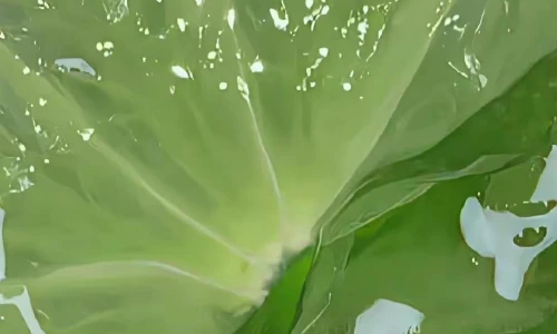 【3327】简约壁纸  4K 超清壁纸1080_2338@青蛙壁纸-笨猫小站