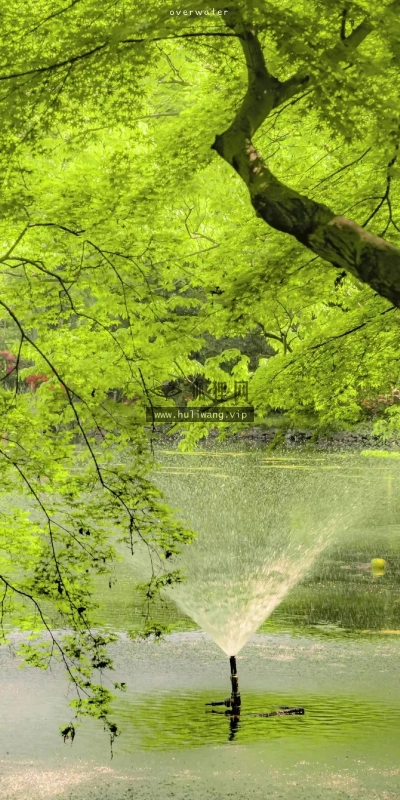 【3334】简约壁纸  4K 超清壁纸1080_2336@青蛙壁纸-笨猫小站