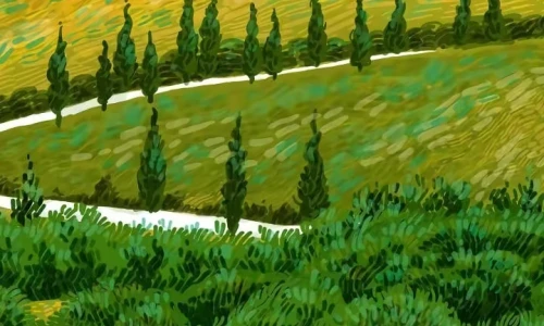 【3362】创意壁纸  2K 高清壁纸720_1560@青蛙壁纸-笨猫小站