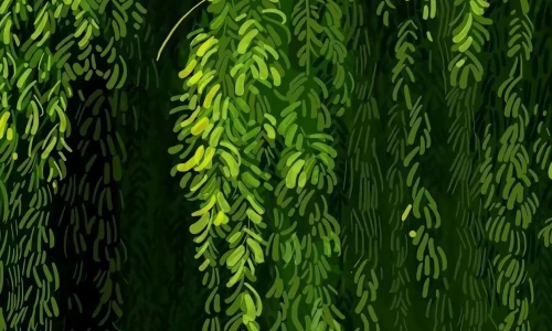 【3367】创意壁纸  4K 超清壁纸1242_2692@青蛙壁纸-笨猫小站
