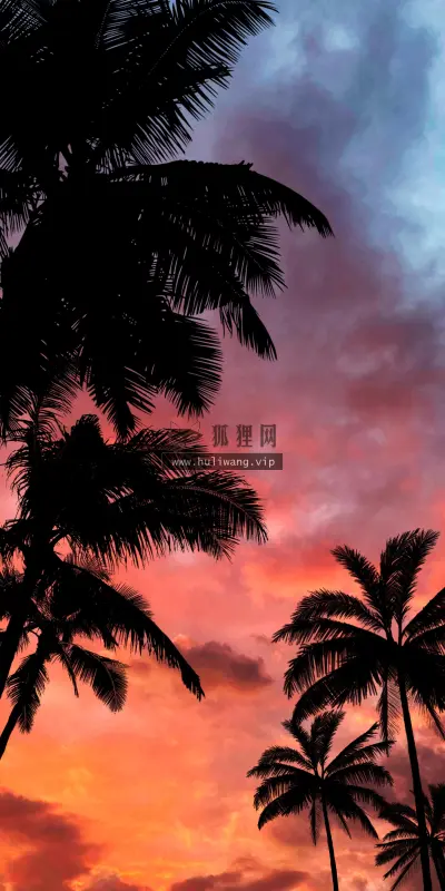 【3441】风景壁纸  8K 超清壁纸2200_4766@青蛙壁纸-笨猫小站