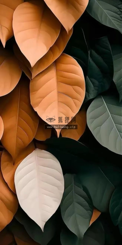 【3449】植物创意壁纸  2K 高清壁纸656_1456@青蛙壁纸-笨猫小站