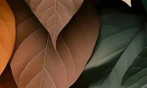 【3454】植物创意壁纸  2K 高清壁纸656_1456@青蛙壁纸-笨猫小站