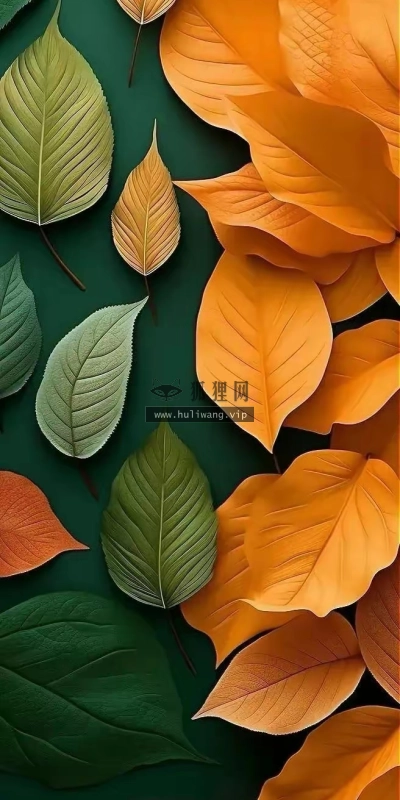 【3455】植物创意壁纸  2K 高清壁纸656_1456@青蛙壁纸-笨猫小站